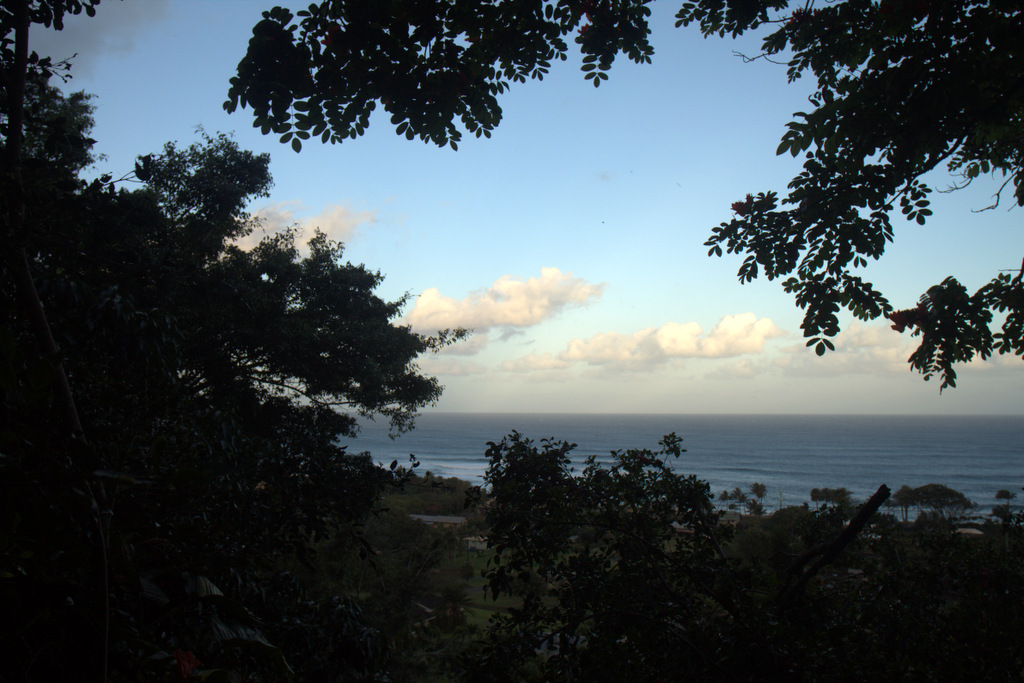 sunset-north-shore-jungle