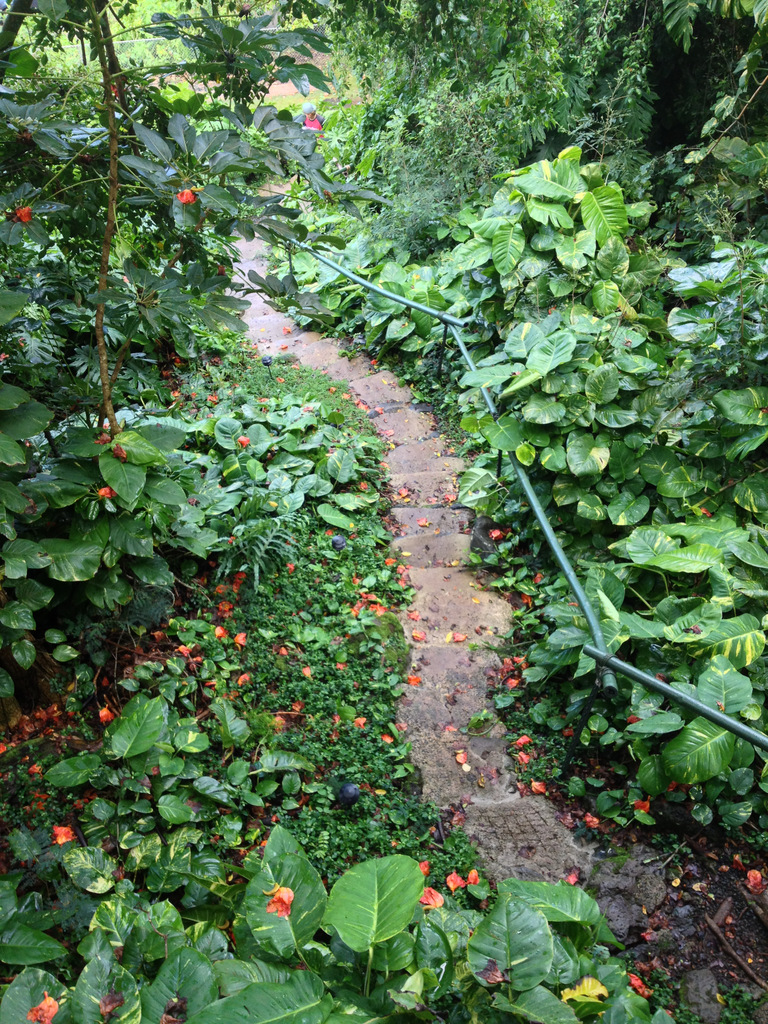 treehouse-bungalow-walkway