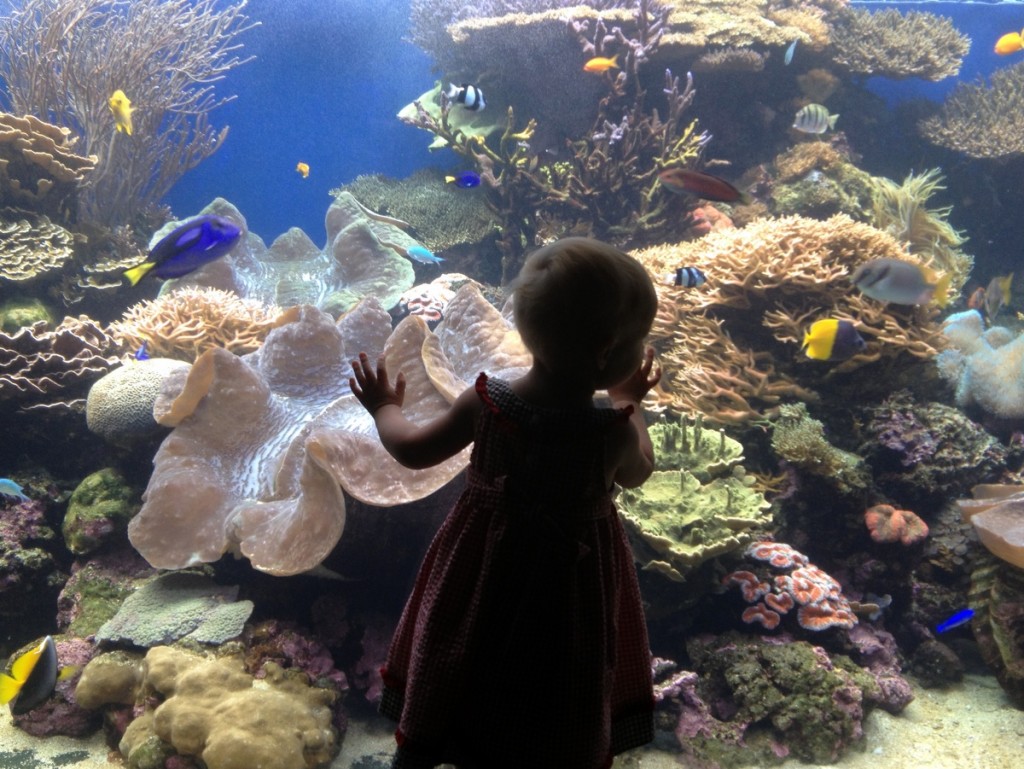honolulu-aquarium-photo kid